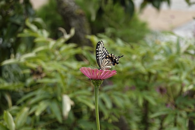 细节都可能