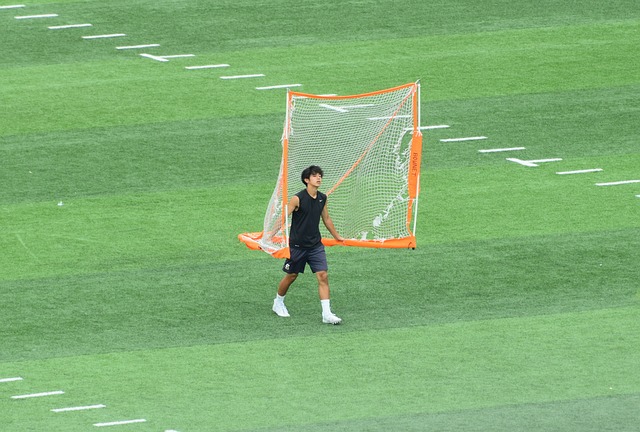 也将迎来一