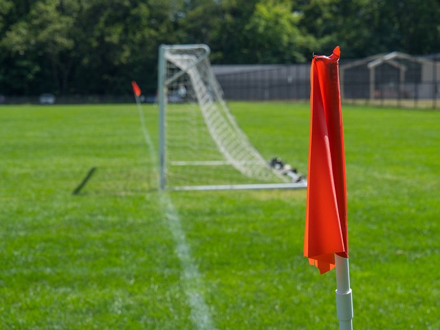 福的伴侣 福的伴侣