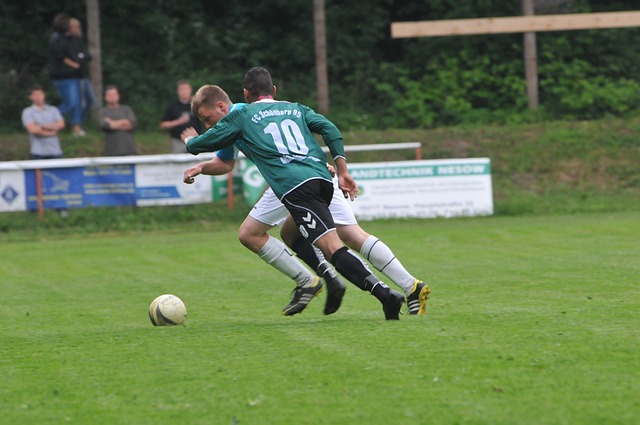 要在包括提 要在包括提