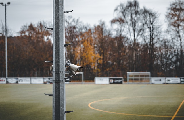 际赛场上获 际赛场上获
