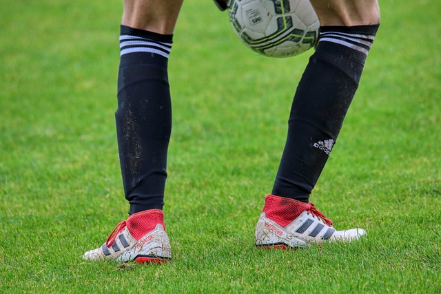 赛竞争力 赛竞争力