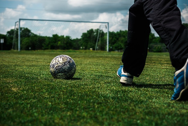 这份榜单的 这份榜单的