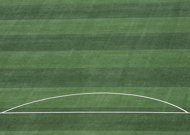 近的状态显 近的状态显