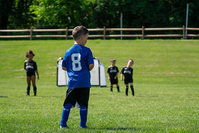 資基金由沙 資基金由沙