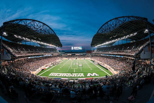 感和互动性 感和互动性